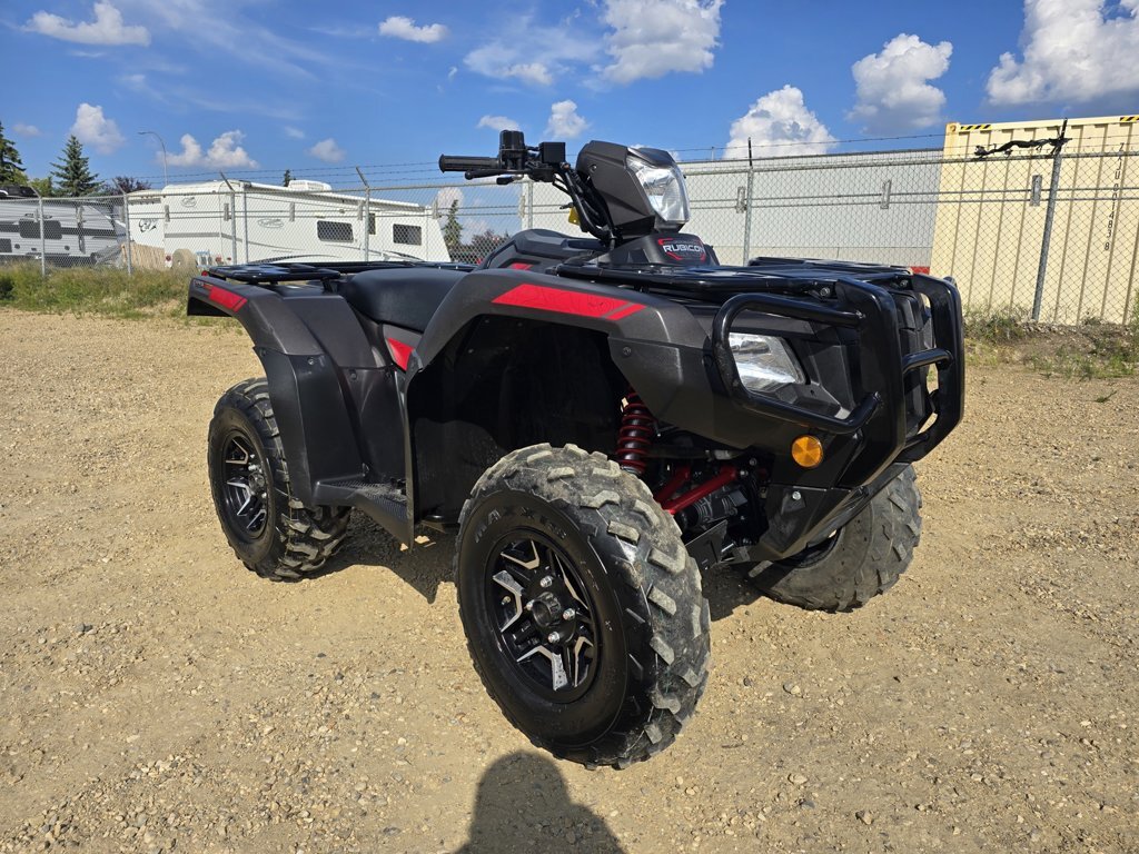 2024 Honda RUBICON 520 DELUXE - Image 2