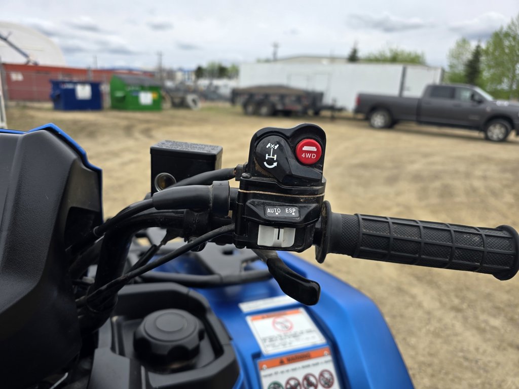 2023 Honda RUBICON 520 DELUXE FA7 - Image 12