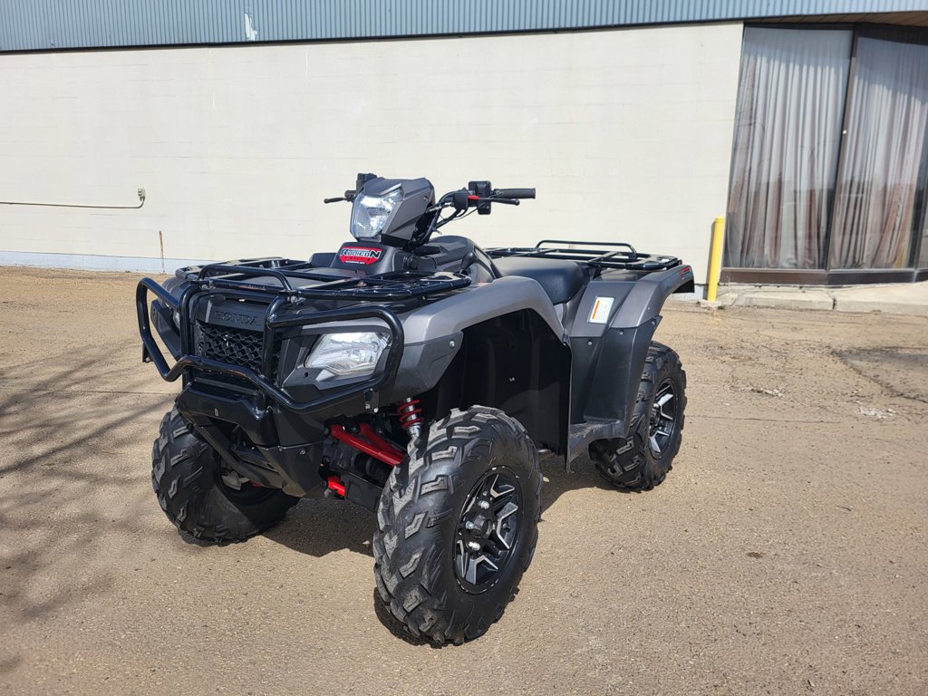 2019 Honda Rubicon 520 Deluxe - Image 2