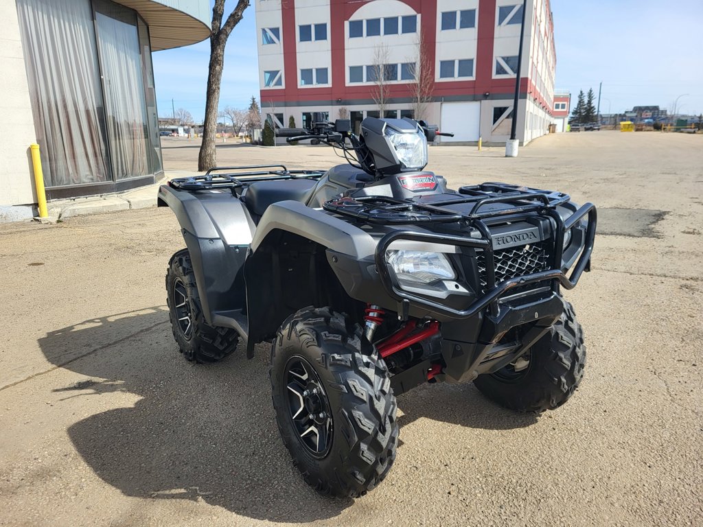 2019 Honda Rubicon 520 Deluxe - Image 4