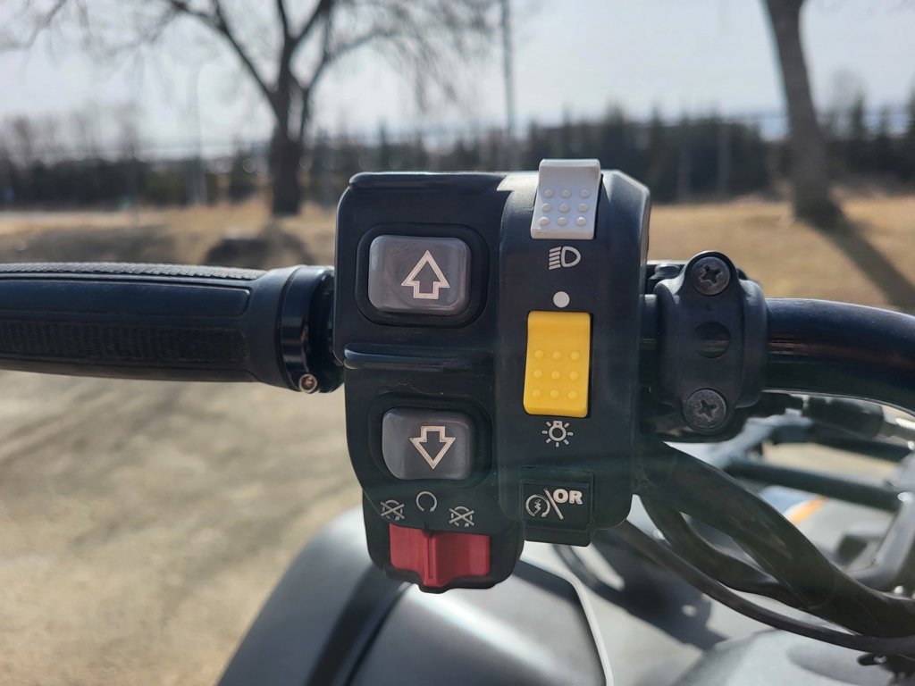 2019 Honda Rubicon 520 Deluxe - Image 11